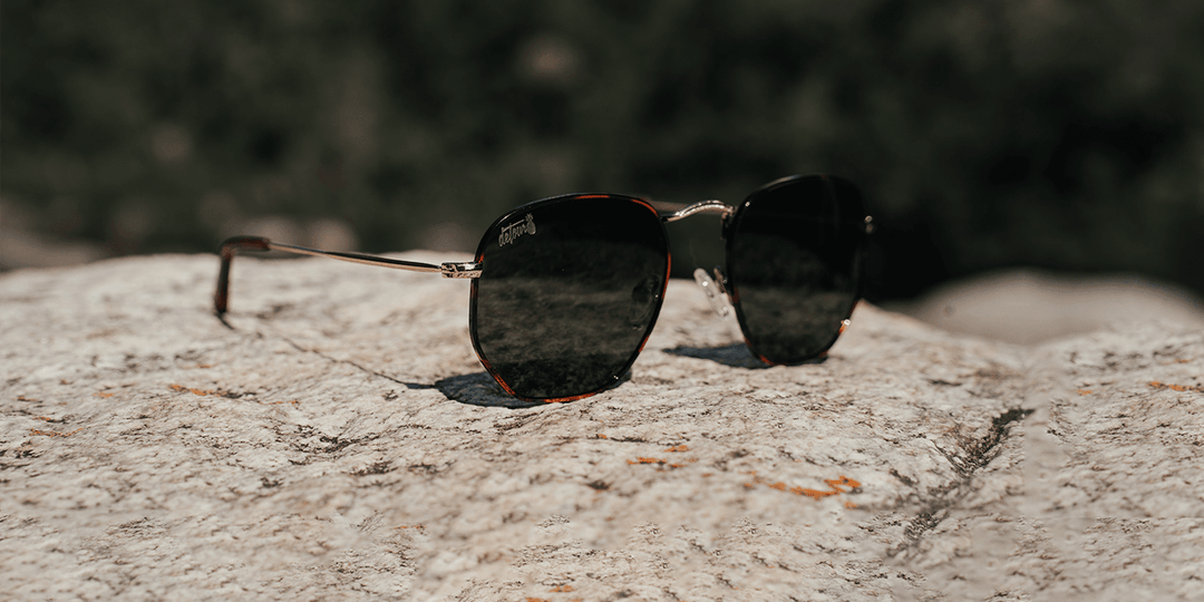 Tortoise Shell - Jet Black Polarized - Bermuda - One Revolver Surfboards