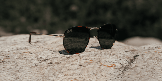Tortoise Shell - Jet Black Polarized - Bermuda - One Revolver Surfboards