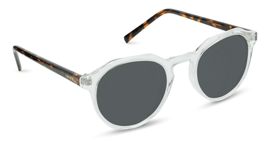 Wynwood - Classic Sunglasses - One Revolver Surfboards