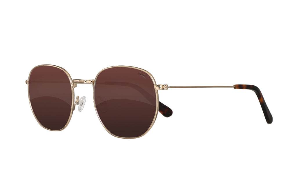 Talbot | Tiger Eye - One Revolver Surfboards