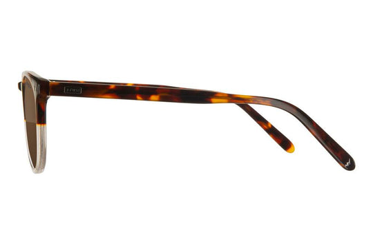 Jupiter | Coffee - Fuse Frames - One Revolver Surfboards