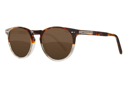 Jupiter | Coffee - Fuse Frames - One Revolver Surfboards
