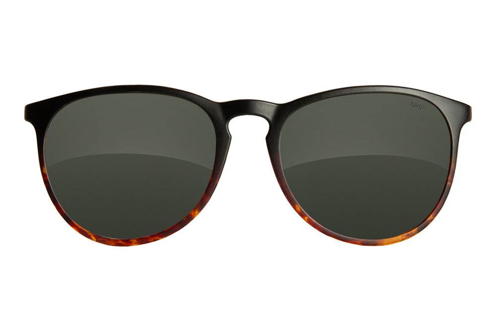 Merritt | Soho - Fuse Frames - One Revolver Surfboards