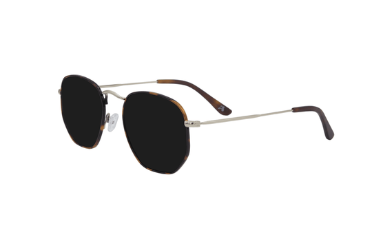 Tortoise Shell - Jet Black Polarized - Bermuda - One Revolver Surfboards