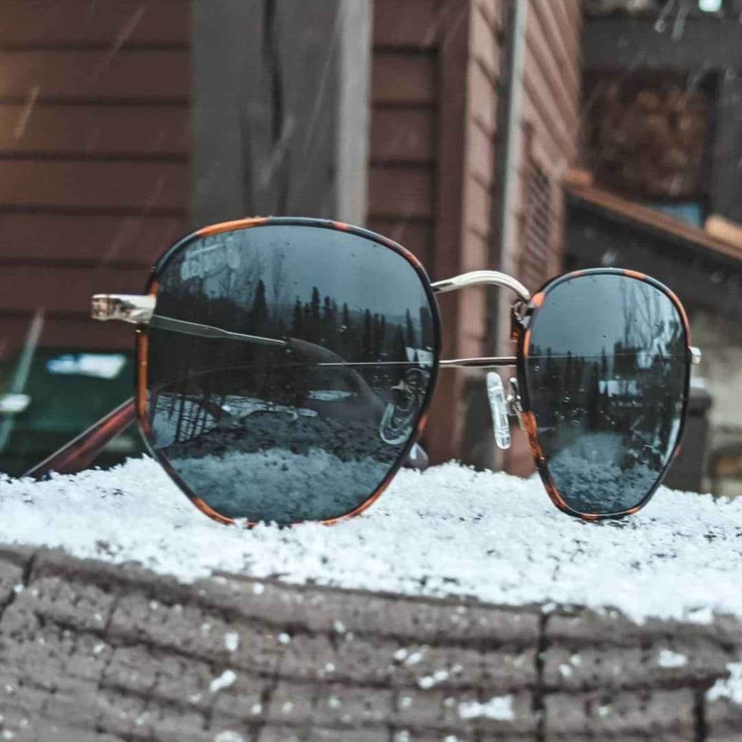 Tortoise Shell - Jet Black Polarized - Bermuda - One Revolver Surfboards