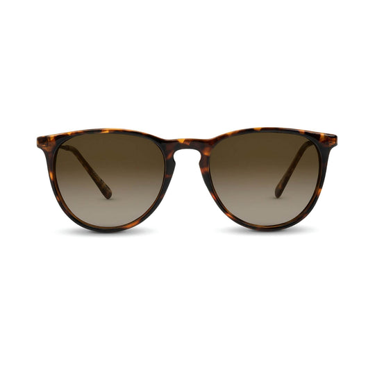 Shockoe - One Revolver Surfboards