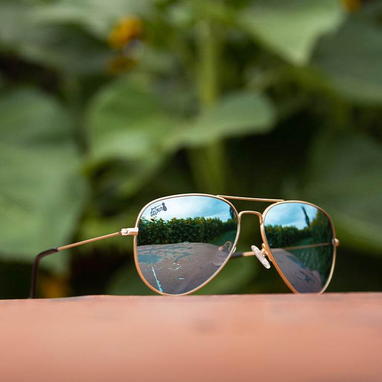 Gold - Sky Blue Lens Polarized - Oasis - One Revolver Surfboards