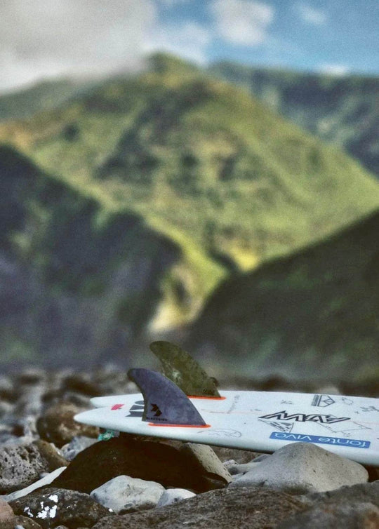 Blackbird RAF Keel - Apex - One Revolver Surfboards