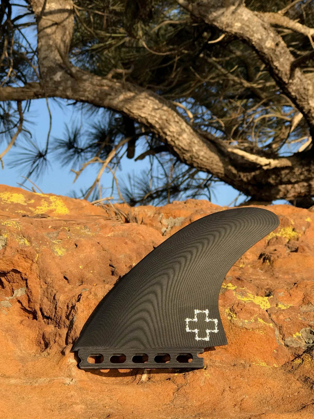 Surf Prescriptions Tallboy Twin - Apex - One Revolver Surfboards