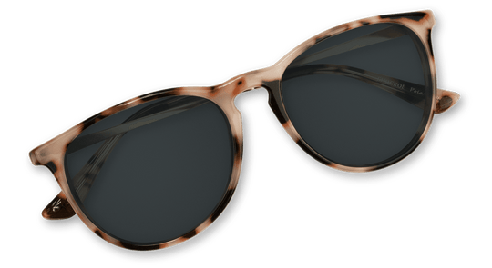 Shockoe - One Revolver Surfboards