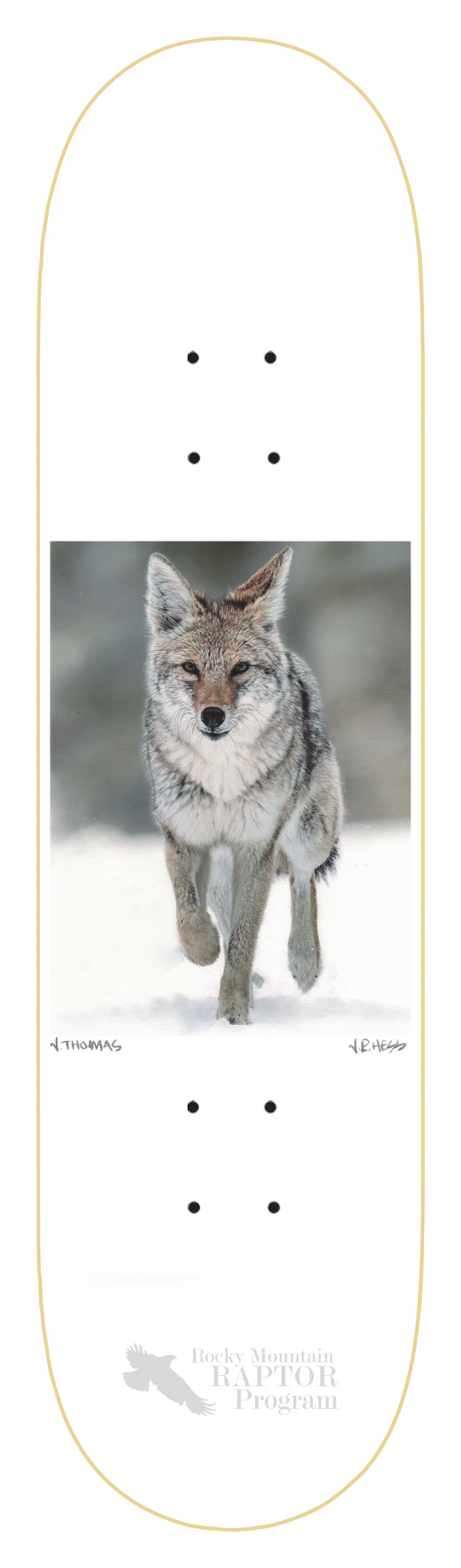ZERO THOMAS COYOTE 8.5" SKATEBOARD DECK